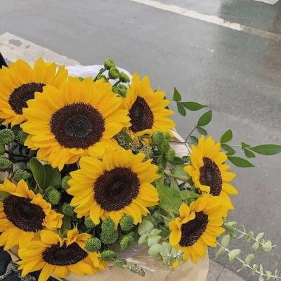 南宫28ng娱乐手机app下载